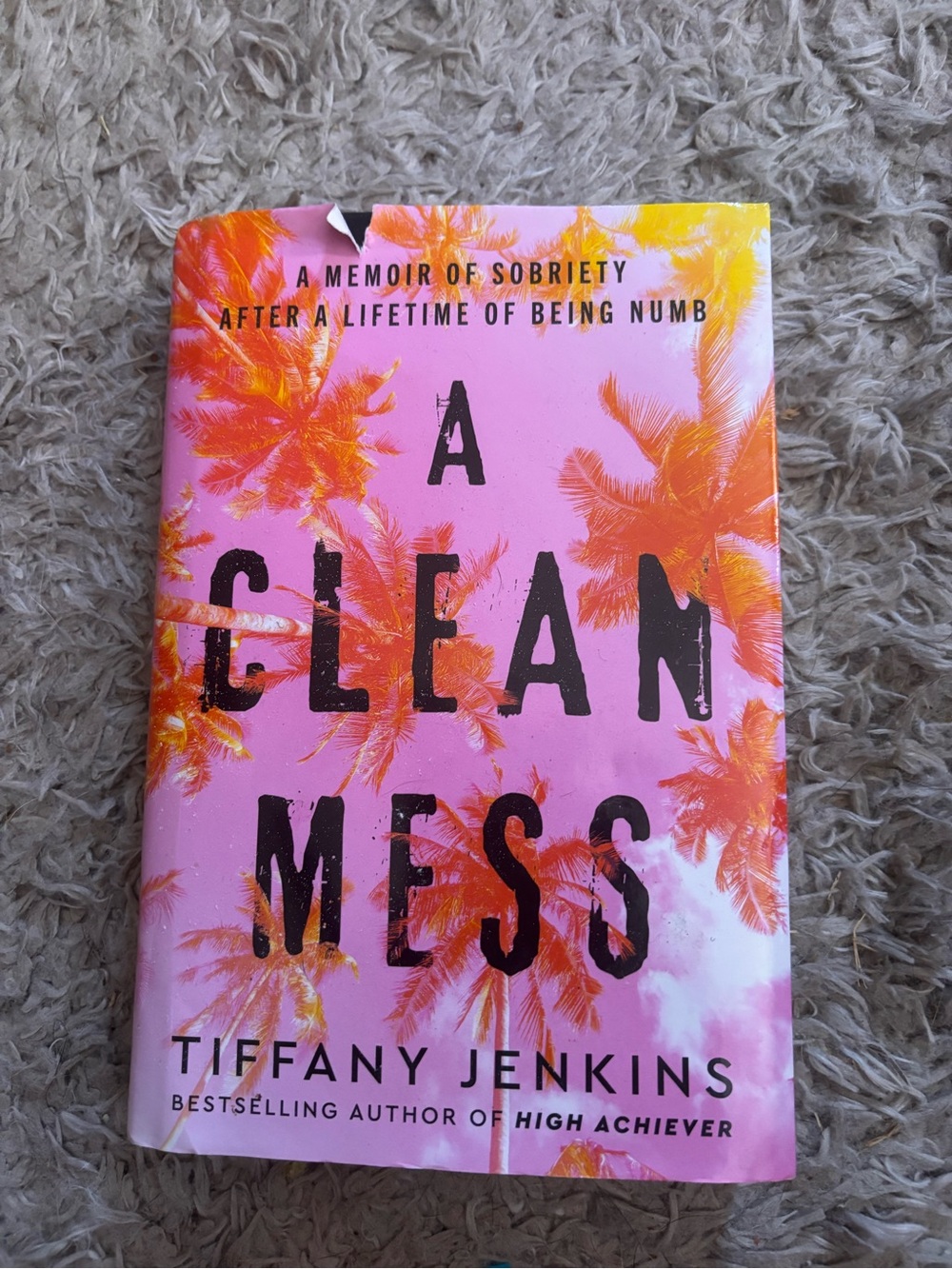 A Clean Mess Book